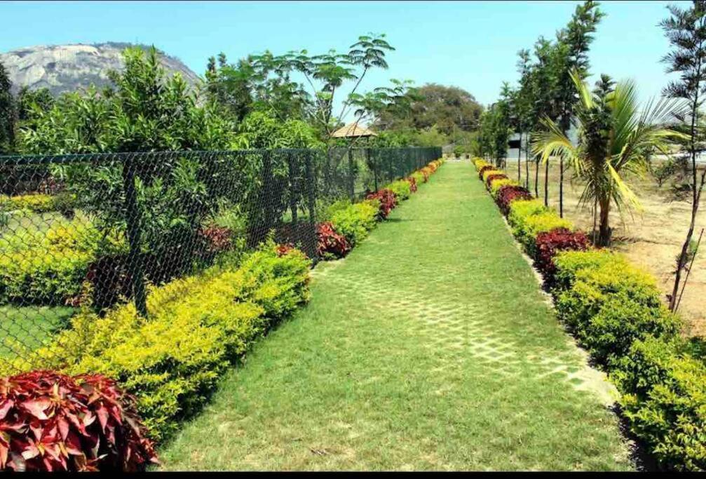 A Glass Haven , Nandi Hills Nandigunda Exterior foto